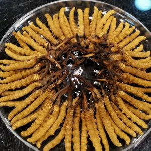 Ee8d19147fd4858adcc5