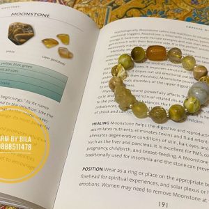 D1a68d075c12a34cfa03