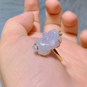 245162007 1533061533729327 914143013516946636 N