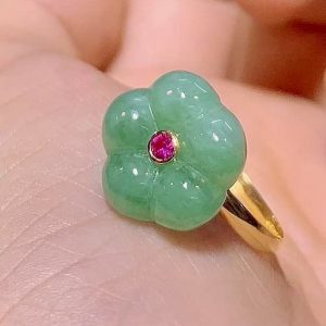 245322722 1532511933784287 501548071472307931 N