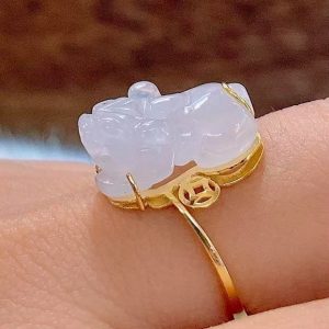 245525210 1533061140396033 893732053389435190 N