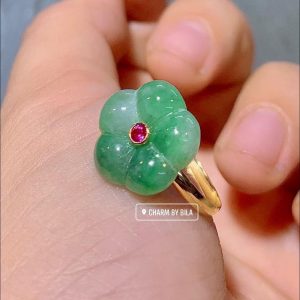 245648992 1532512060450941 5638397070984169870 N