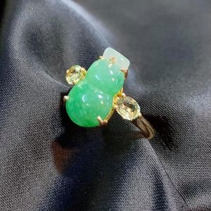 247147415 1538086149893532 8749241902945647316 N