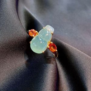 247648341 1538087103226770 1138544899463566425 N