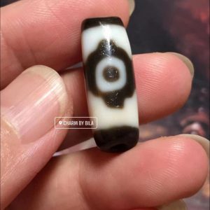 252605501 1548812912154189 4520239698596837274 N