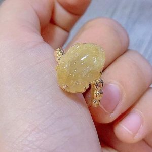 252607995 1548657062169774 9171112135467232961 N