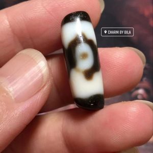 252741763 1548811692154311 5767323514427753131 N