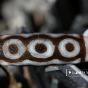 254350215 1552675725101241 2279428040606570228 N