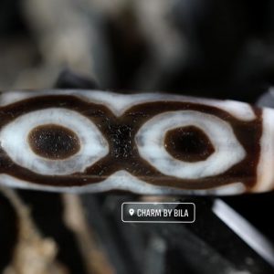 254496248 1552675835101230 4456219336968422821 N