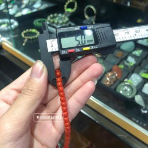 264122130 1573517346350412 7483133973245795096 N