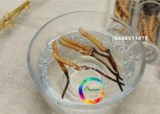 Z3017731258311 6464298d7ec20fb266b3be2ab82a8a73