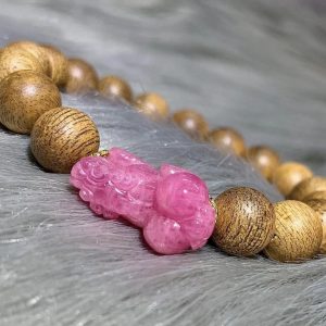 378492195 713145440854693 5461667191542951400 N