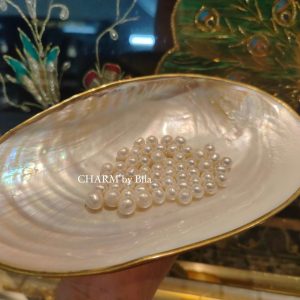 394596446 731602552342315 8610692620634071099 N