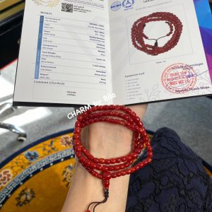 428617407 806875108148392 954934694250275269 N